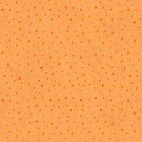 ttBOO-CD4989 ORANGE